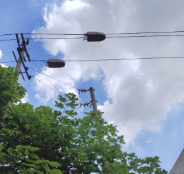 廣州白云區10kV線路帶電絕緣涂覆，解決樹線矛盾、房線矛盾、農田觸電隱患等難題