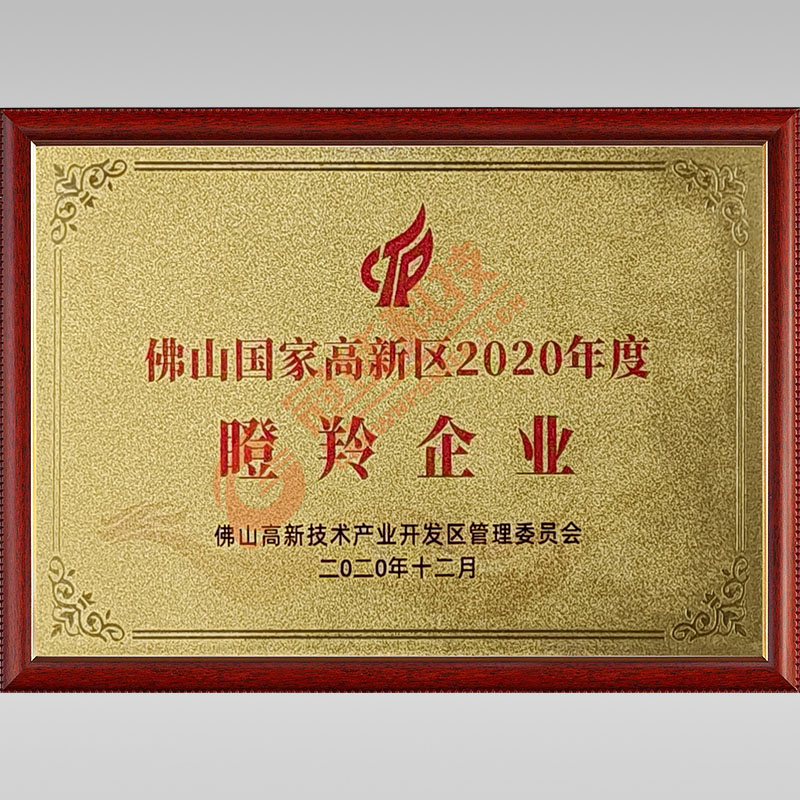 國家高新區2020年度瞪羚企業