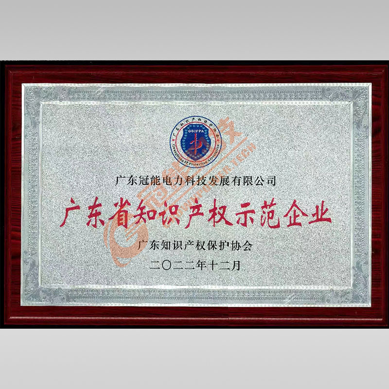 廣東省知識產權示范企業