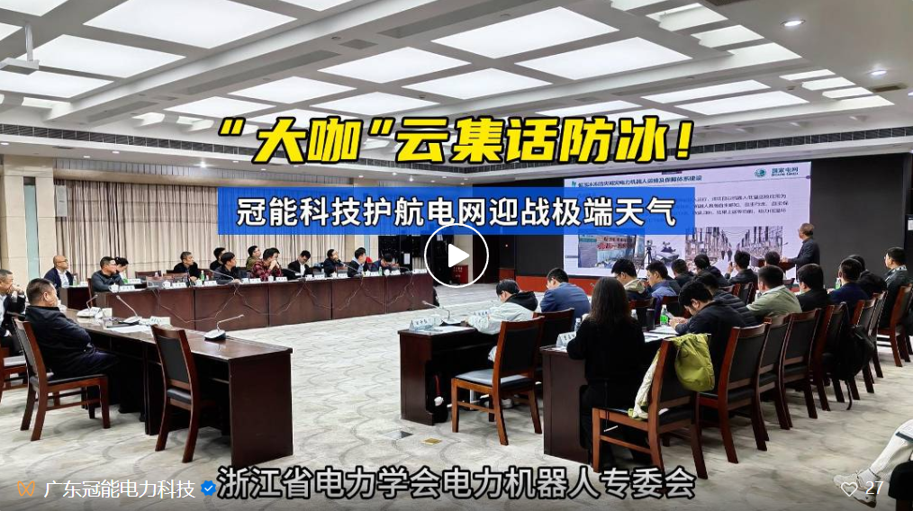 “大咖”云集話防冰！廣東冠能“智”力護(hù)航電網(wǎng)迎戰(zhàn)極端天氣
